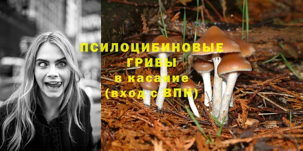 твердый Белоозёрский