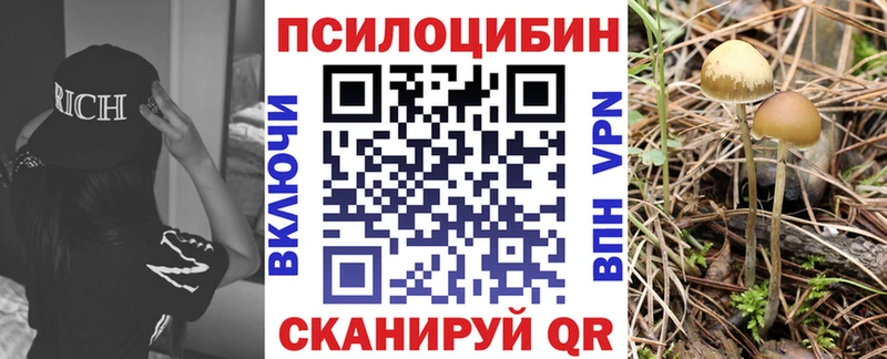 Галлюциногенные грибы GOLDEN TEACHER  Купить где  Гремячинск 